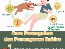 Apa bahaya penyakit rabies jika sudah menunjukkan gejala