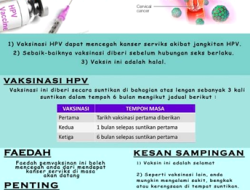 Apa efek samping vaksin hpv jangka panjang