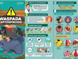 Apa itu penyakit leptospirosis dan dari mana asalnya