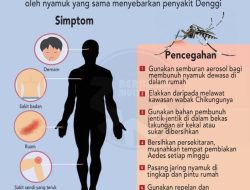 Apa perbedaan demam chikungunya dan demam berdarah