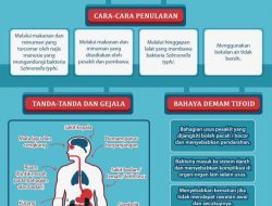Bagaimana cara mencegah penyakit demam tifoid