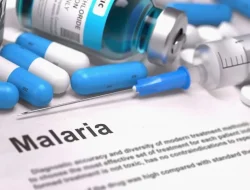 Bagaimana cara pengobatan malaria yang tepat