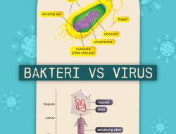 Kenapa infeksi virus lebih sulit diobati dibandingkan bakteri